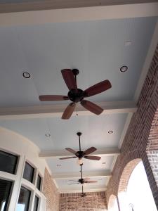 DSCN5217.jpg